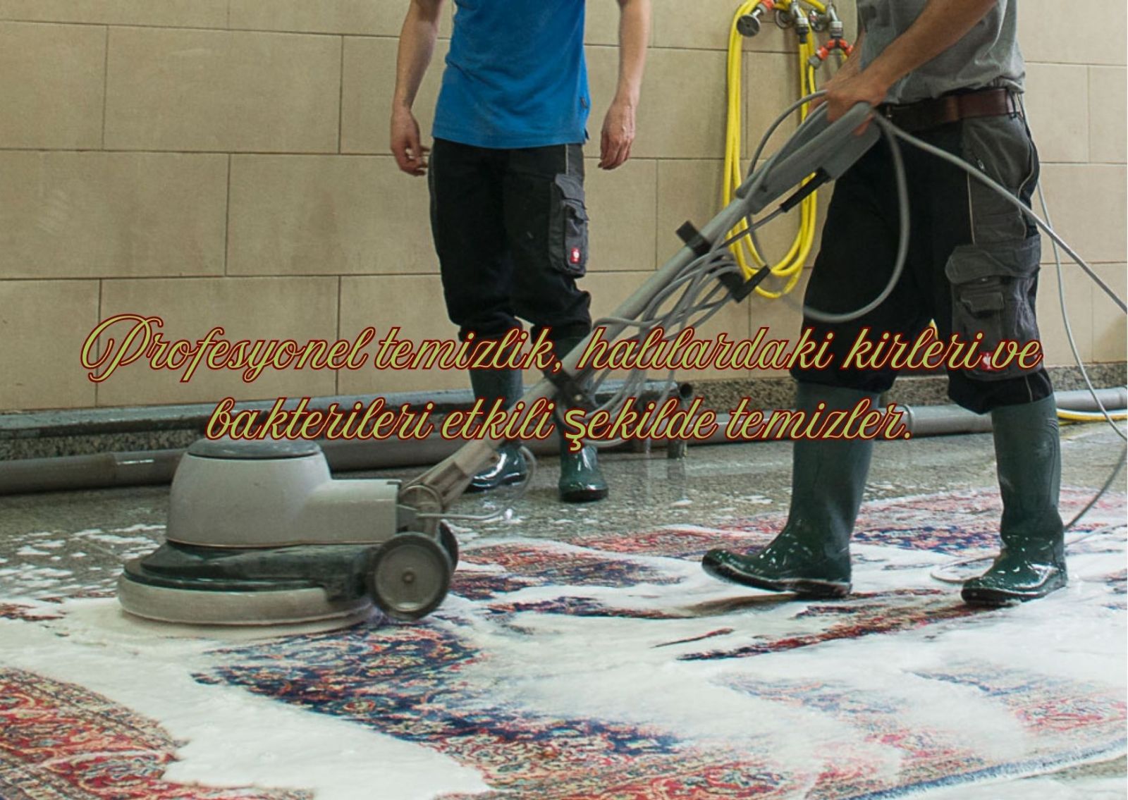 Talas Halı Yıkama Hizmetleri